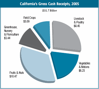 Diagramme de la production et des profits de l’agriculture californienne