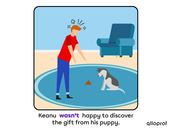 A person is angry in front of his puppy’s gift. 