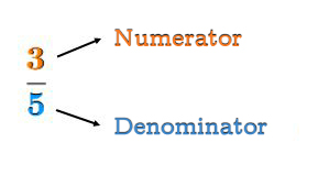 Numerator and denominator