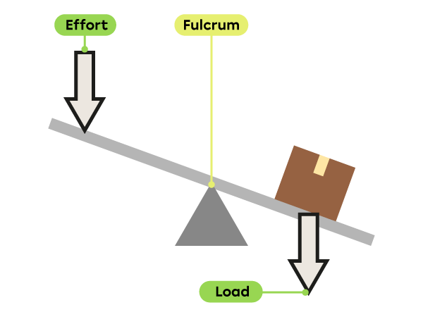 A long board is supported in the middle on a fulcrum. There is a box (load) on one end of the board and an effort force is applied at the other end.