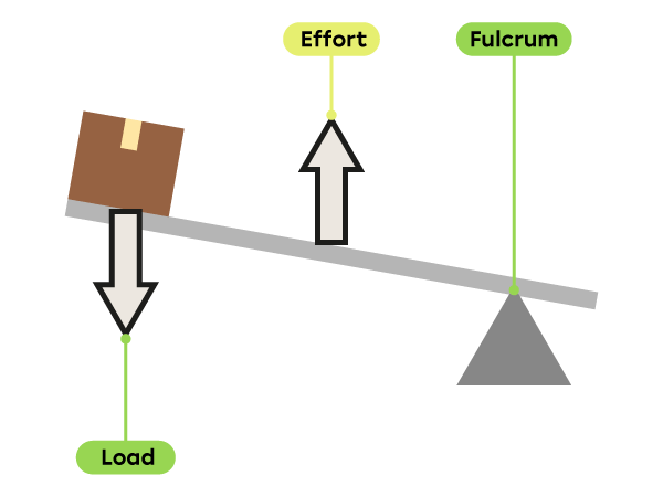 A long board is supported at one end by the fulcrum. There is a box (load) on one end of the board. The effort force is applied in the middle of the board.