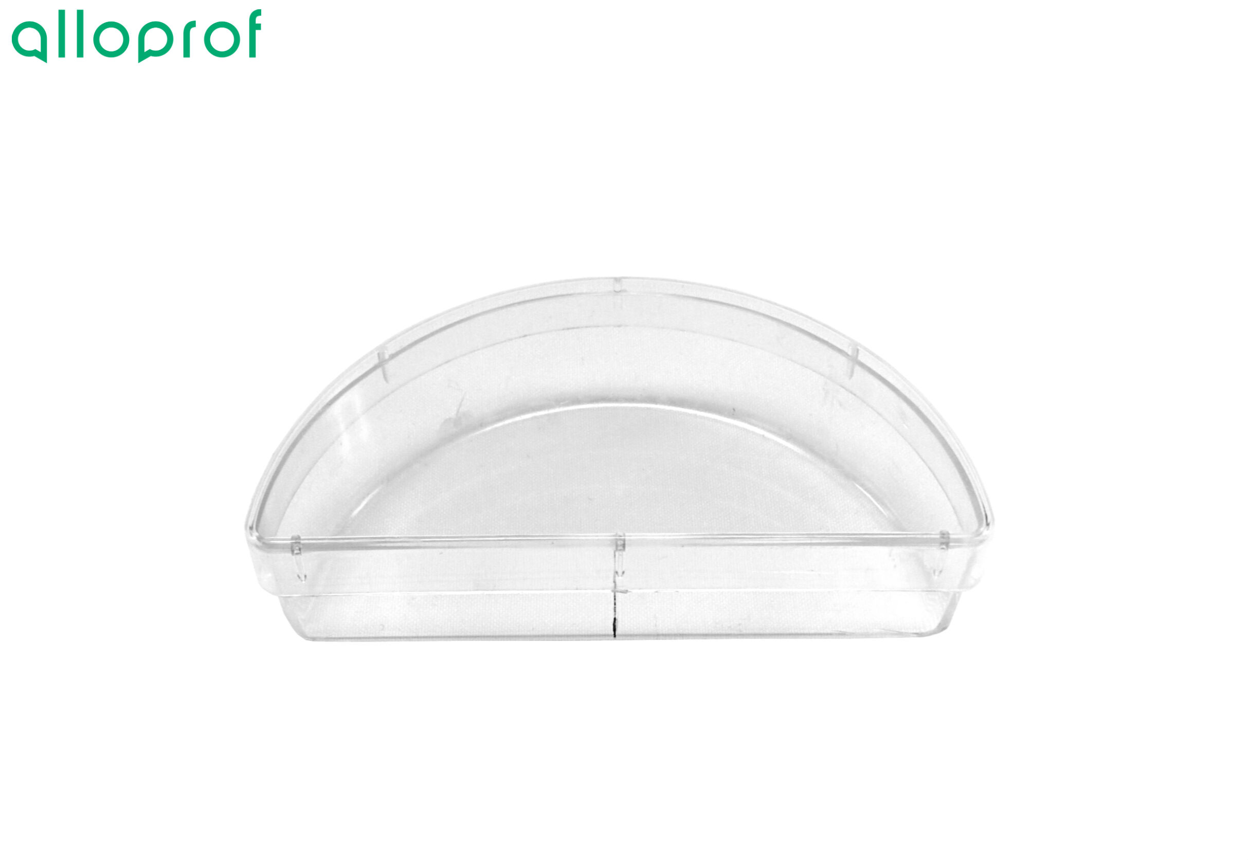 Bassin semi-circulaire