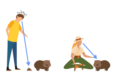 A person noticing wombat poop on the carpet and a person looking at a wombat.