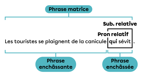 Exemple de subordonnée relative, introduite par le pronom relatif « qui », enchâssée dans une phrase enchâssante d’une phrase matrice. 