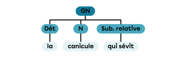 Illustration d’un groupe nominal constitué d’un déterminant, d’un nom et d’une subordonnée relative.