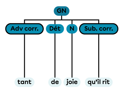 Un groupe nominal constitué d’un déterminant, d’un nom et d’une subordonnée corrélative.