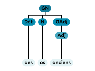 Un groupe nominal constitué d’un déterminant, d’un nom et d’un groupe adjectival.