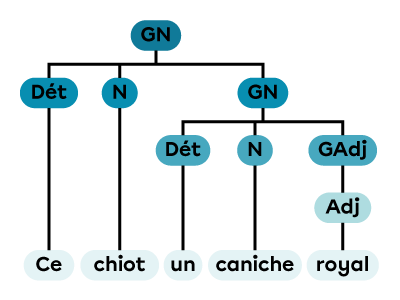 Un groupe nominal constitué d’un déterminant, d’un nom et d’un groupe nominal.