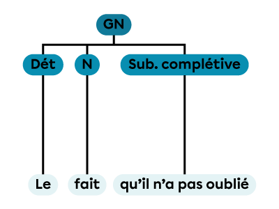 Un groupe nominal constitué d’un déterminant, d’un nom et d’une subordonnée complétive.