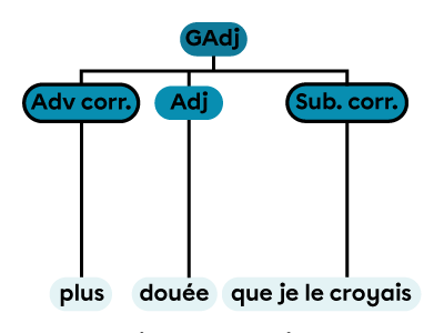 Un groupe adjectival constitué d’un adjectif et d’une subordonnée corrélative.