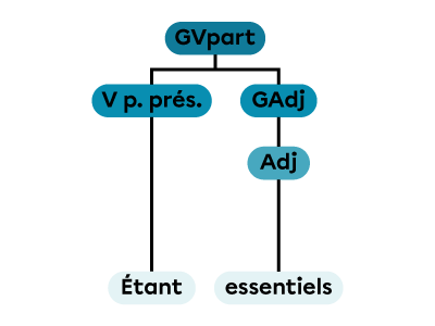 Un groupe verbal au participe présent constitué d’un verbe au participe présent et d’un groupe adjectival.