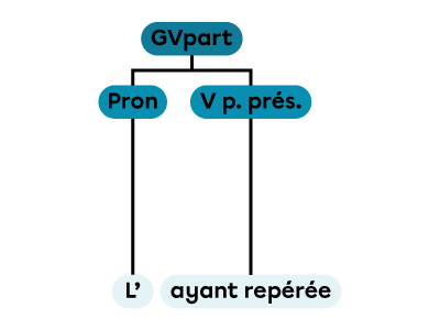 Un groupe verbal au participe présent constitué d’un pronom et d’un verbe au participe présent.