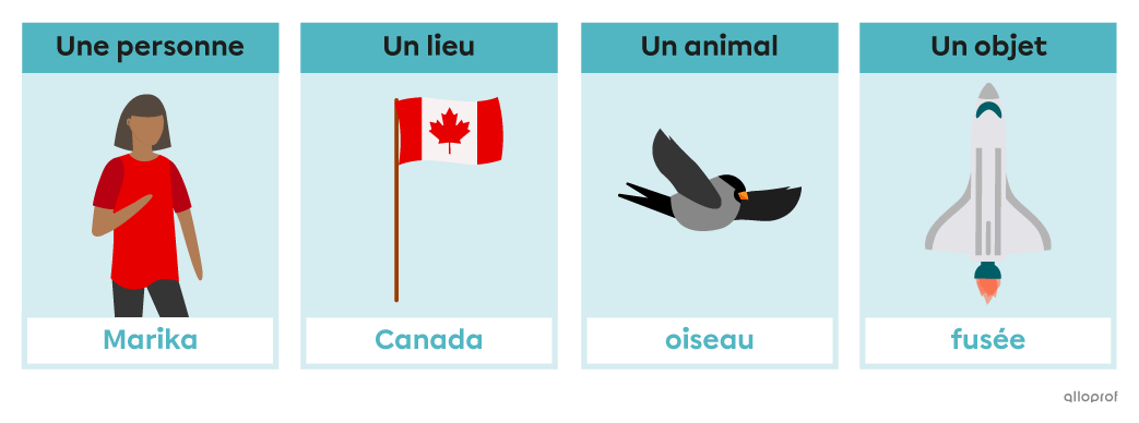 Les mots Marika, Canada, oiseau et fusée sont des noms. 