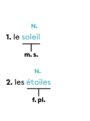 Le nom soleil est masculin et singulier, et le nom étoiles est féminin et pluriel. 