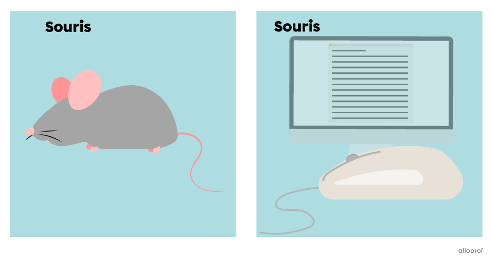 Une souris peut désigner un animal ou une souris d’ordinateur. 