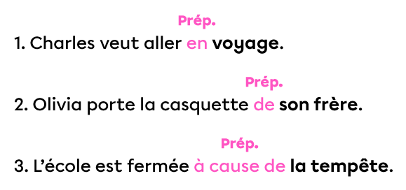 Les prépositions en, de et à cause de sont placés avant des mots et des groupes de mots. 