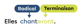 Image montrant que dans le verbe chanteront, le radical est chant et la terminaison est eront.