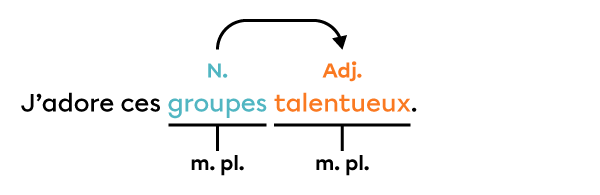 Exemple de phrase dans laquelle l’adjectif s’accorde en genre et en nombre avec le nom.