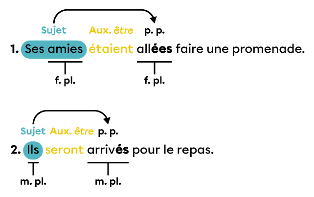 Exemples de phrases dans lesquelles le participe passé employé avec l’auxiliaire « être » s’accorde en genre et en nombre avec le sujet de la phrase.