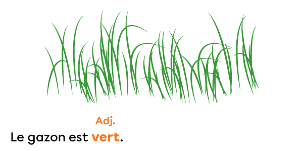 Les homophones « ver/verre/vers/vert » | Primaire | Alloprof