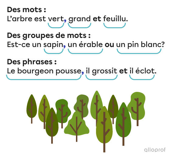 Exemples de phrases dans lesquelles des mots et des groupes de mots dans une énumération sont séparés par une virgule.