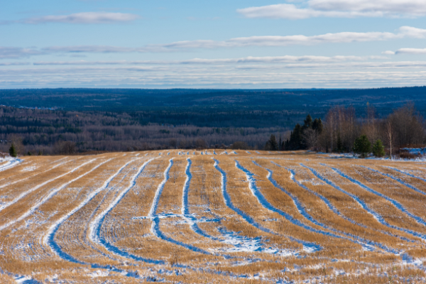 Des champs agricoles en hiver.