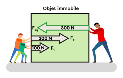 Un schéma montrant deux enfants qui appliquent sur un côté de la boite des forces de 100 N et 200 N. Un adulte applique une force équilibrante de 300 N de l’autre côté de la boite, ce qui annule l’effet des forces appliquées par les enfants. 