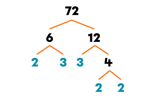 Exemple d’un arbre des facteurs-4