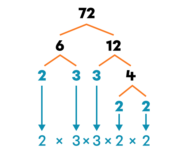 L’arbre des facteurs premiers - 3e cycle | Primaire | Alloprof