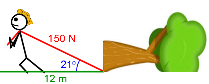 Illustration d'une force de 150 N à 21° pour un déplacement de 12 m