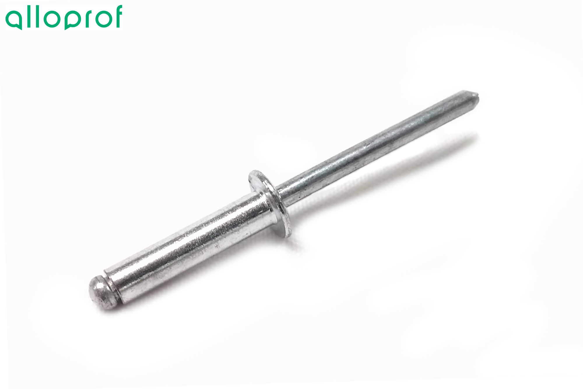 Rivet