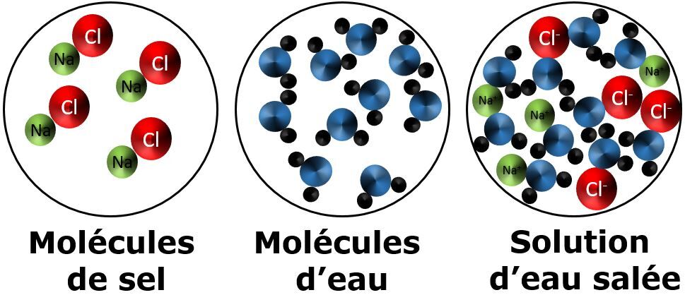 La Dissolution | Secondaire | Alloprof