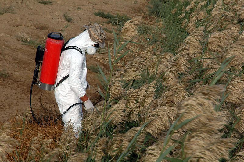 La contamination du sol Secondaire Alloprof