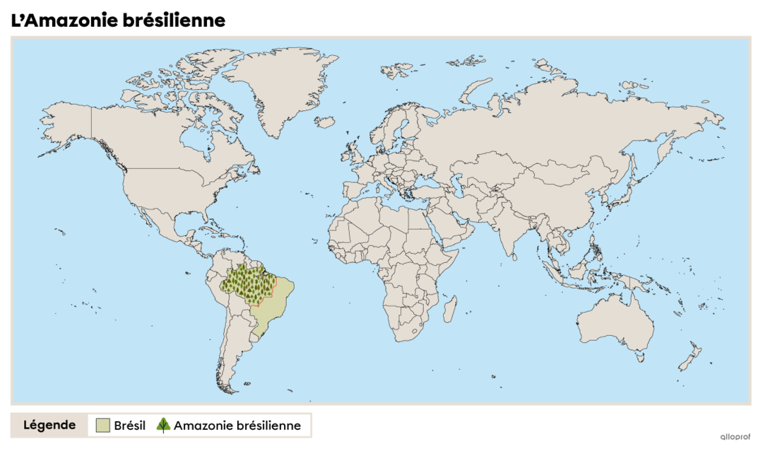 Le territoire forestier de l'Amazonie Secondaire Alloprof — free download