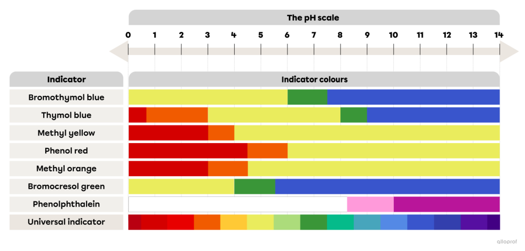 The pH Scale and AcidBase Indicators Secondaire Alloprof