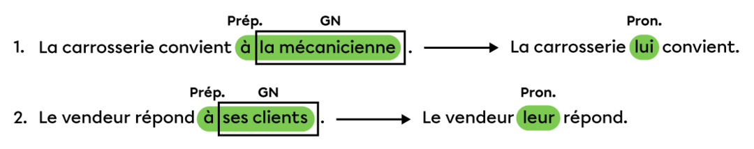 Le complément indirect du verbe | Primaire | Alloprof
