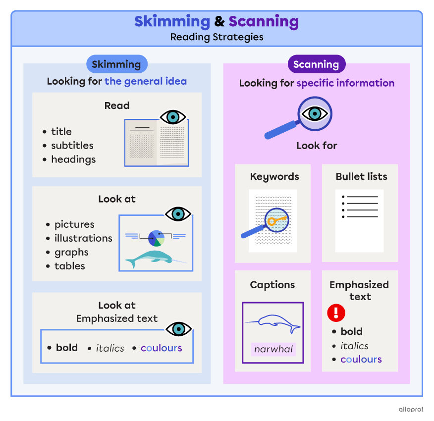 Skimming & Scanning – Reading Strategies | Alloprof