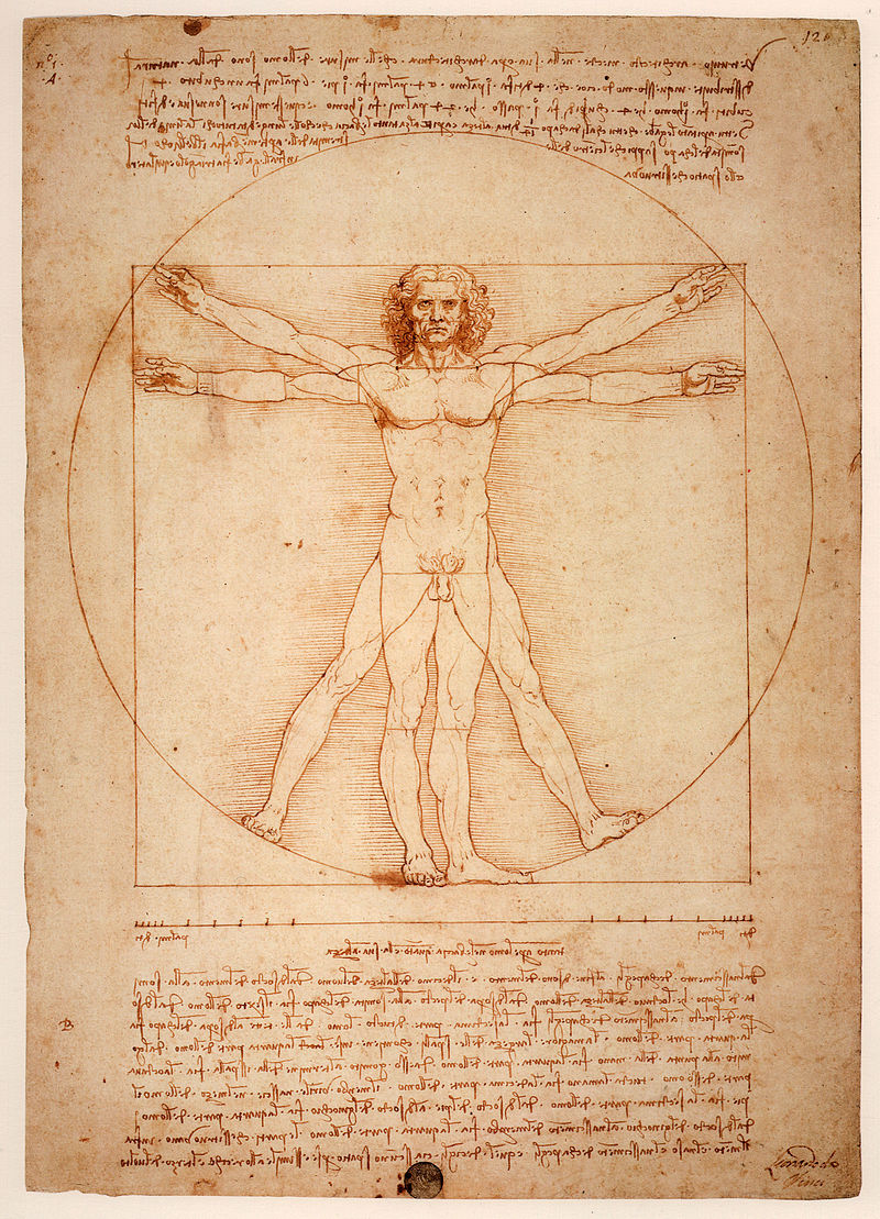 L'homme de Vitruve de Léonard de Vinci