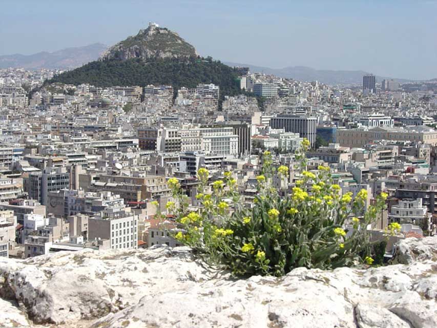 Athènes vue de l'acropole