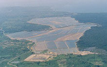 Les élevages de crevettes et les terres couvertes d’eau salée