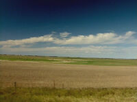 Les champs de la Saskatchewan lors de la sécheresse de 2002