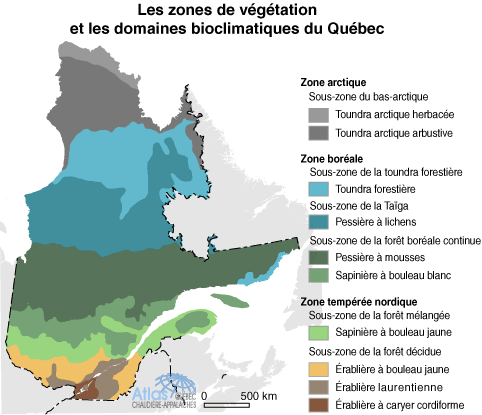 zones végétations