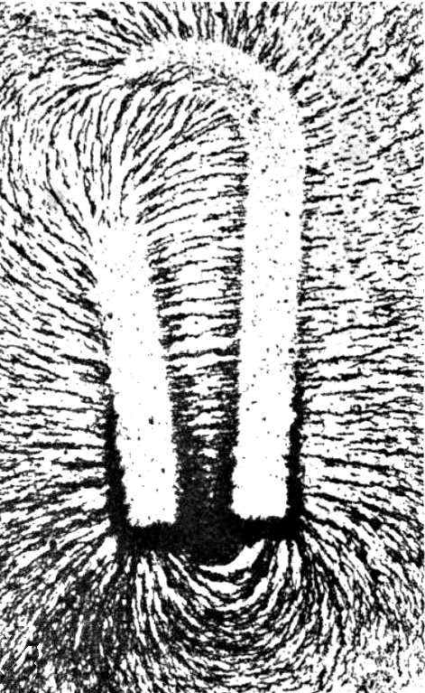 The iron filings are aligned with the magnetic field lines around a horseshoe magnet. 