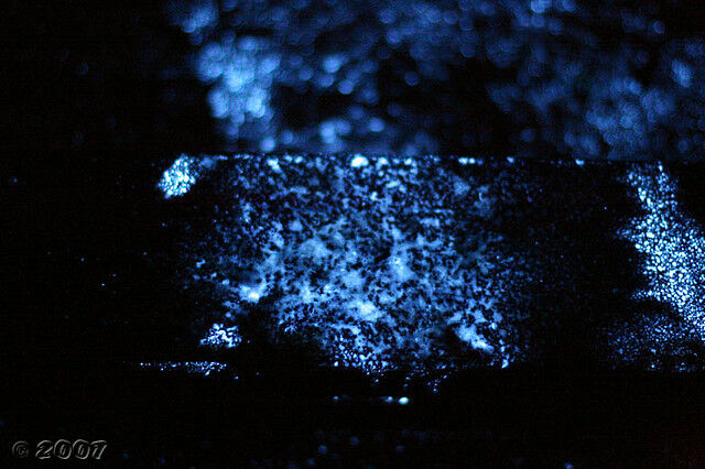 Luminol