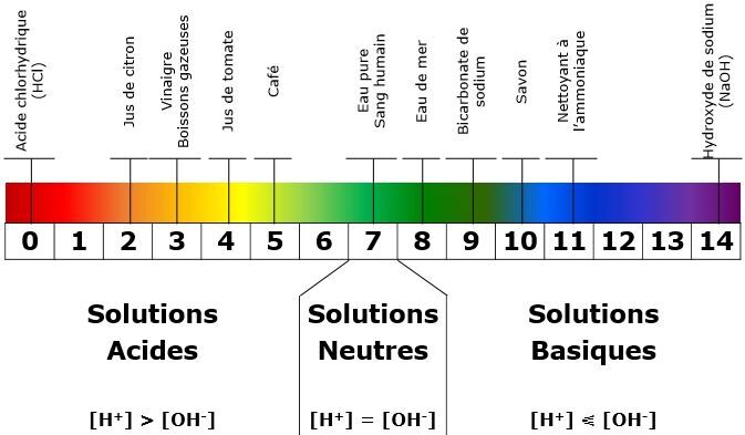 Le PH Et L'échelle PH | Alloprof