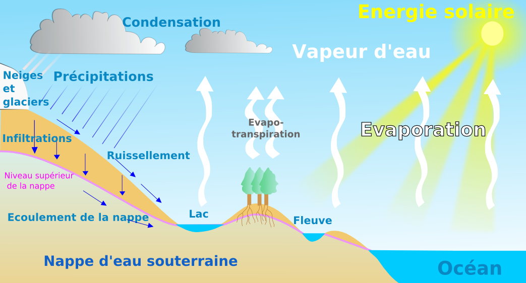 évaluation Le Cycle De L'eau Cm1 Pdf Le cycle de l'eau | Alloprof