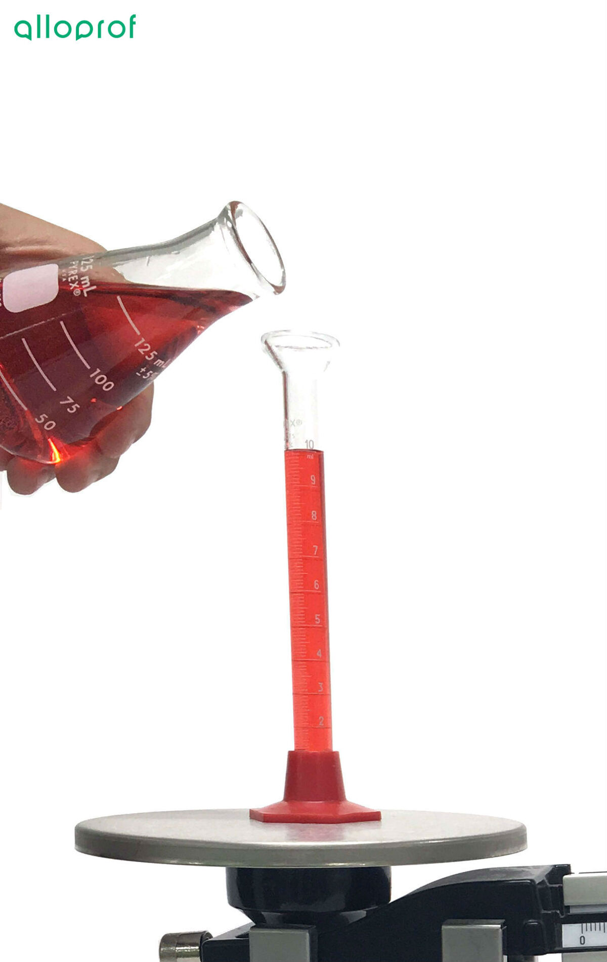 The liquid poured into the graduated cylinder on the pan of a triple beam balance. 