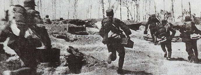 Japanese soldiers