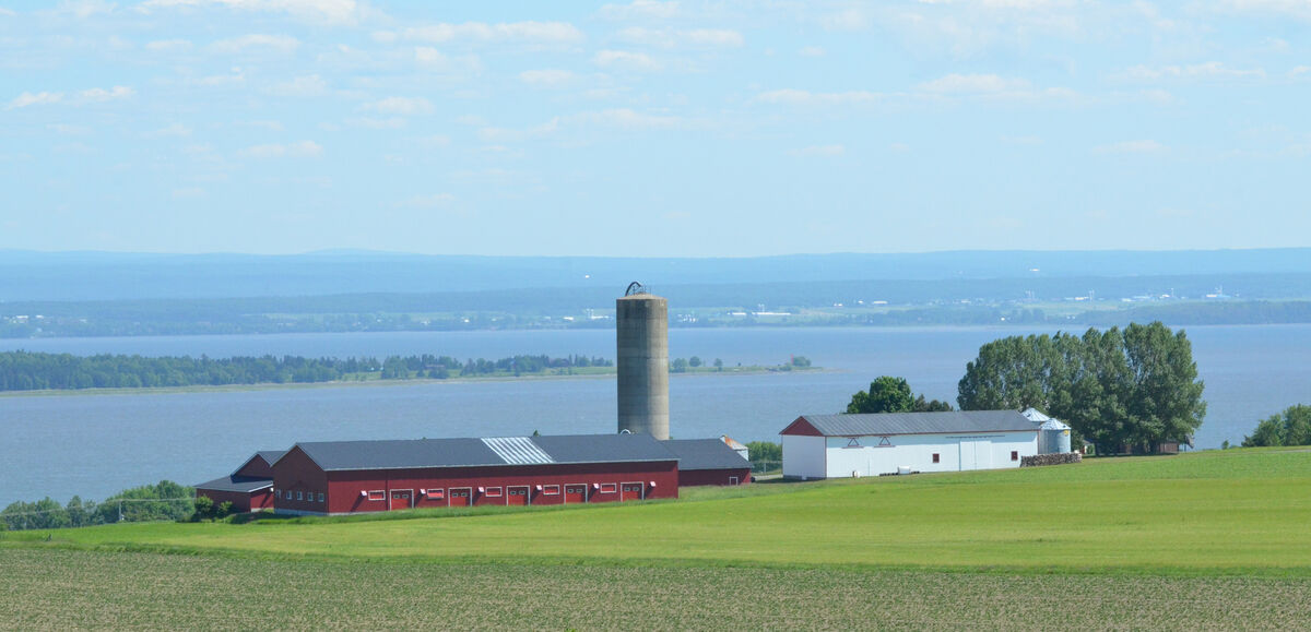 ferme agricole
