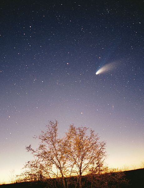 The Hale-Bopp comet photographed in 1997.